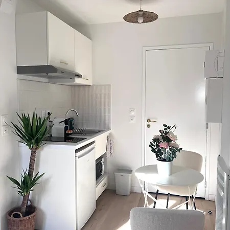 Le Saphir Apartment Toulouse